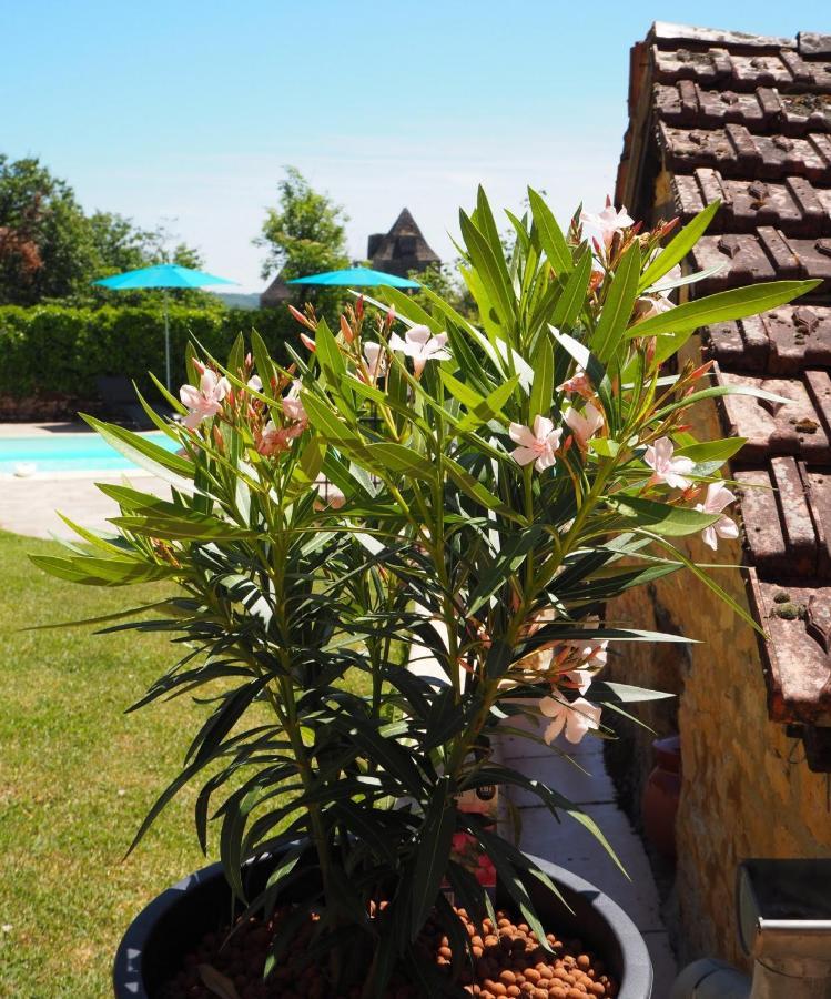 Le Clos De La Musardise - Gites De Charme Avec Piscine Chauffee Salignac Eyvigues Ngoại thất bức ảnh